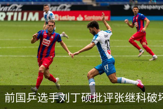 前国乒选手刘丁硕批评张继科破坏乒乓球市场秩序